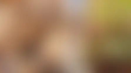  5 Dog-Friendly Hotels in Ireland You Will Love