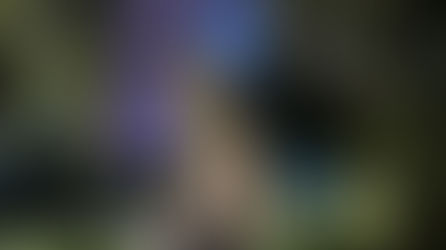 10 Pet-Friendly Spots You Should Visit During Your Trip to Singapore