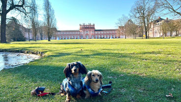 Top 5 Best Places to Visit in the UK