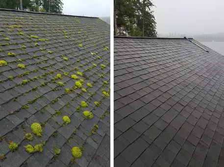Roof Cleanings