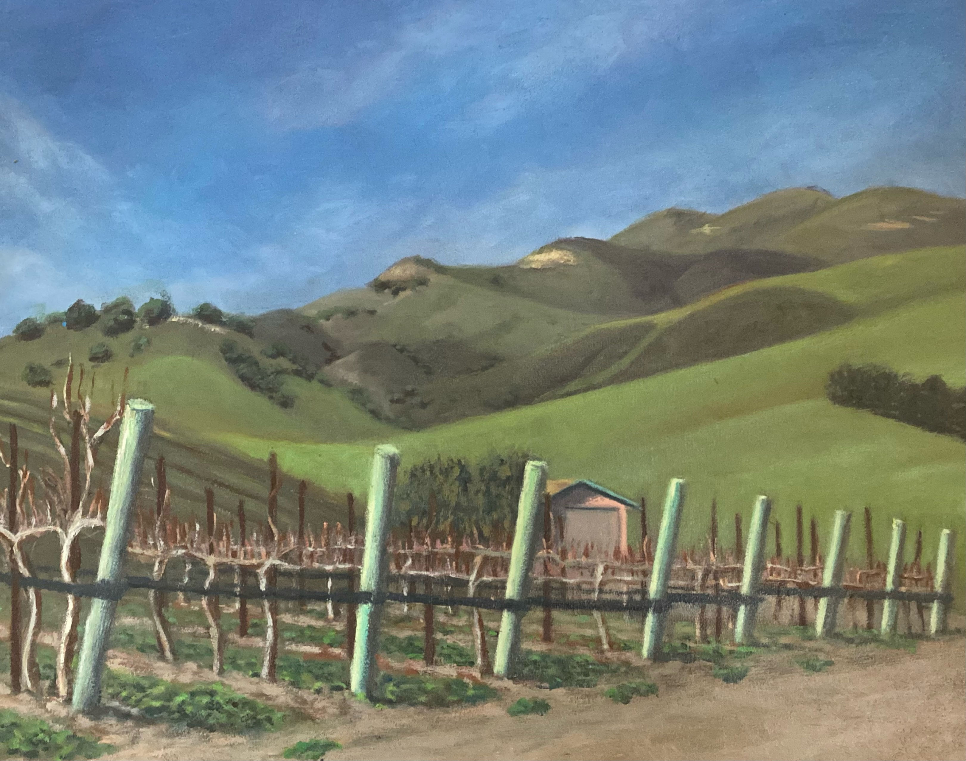 TRACTOR SHED, TALLEY VINEYARDS