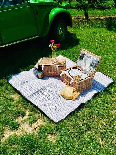 picknick in de boomgaard 3.jpg