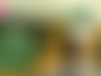 Stap voor Hoop – Wandeltocht Limburgs Kankerfonds