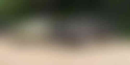 Exclusieve wagens aan de start van de Charity Run 2025 in Hasselt, ten voordele van het Limburgs Kankerfonds