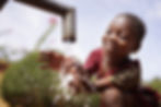 Water is Life for African Children, Litt