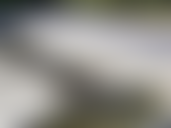 Waterniveau in het zwembad daalt ongemerkt? Voorkom schade aan je rolluik