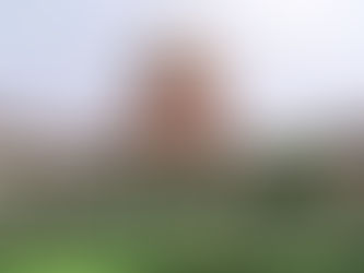 Supreme Court seeks Centre's reply on restrictive benefits for adoptive mothers