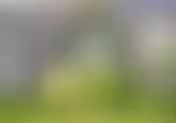 Mass forensic excavation begins to identify 796 babies and children buried in septic tank