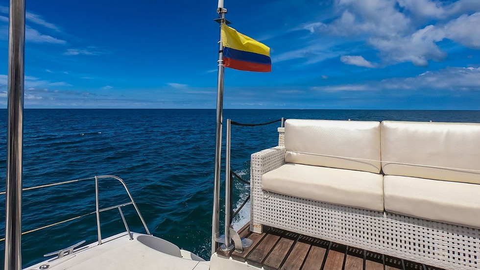 Miniatura: Catamarán Crazy baby 44 Pies