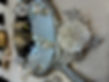 019df95f-f082-7981-b3b0-82e17604419c.jpeg