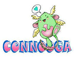 connooga.jpg