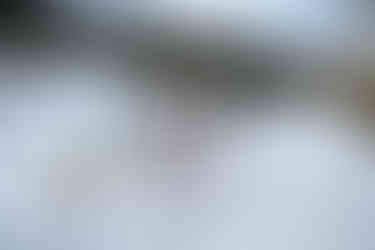 Rodelstrecke Trockentann | © salzkammergut.at