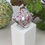 Miniatura: Anel Oval Grande, cravejado com Mini zircônias em cristal e rosa.  Folheado R