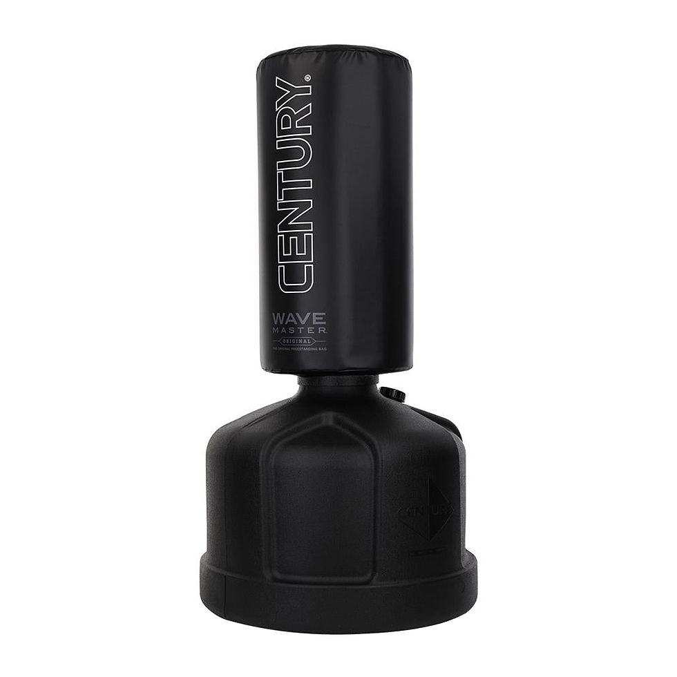 Thumbnail: Freestanding Punching Bag
