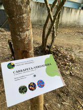 WhatsApp Image 2023-06-06 at 17.18.20.jpeg