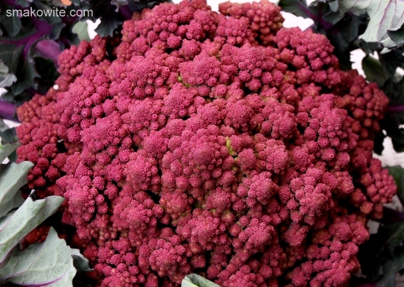 kalafior fioletowy