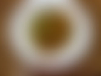 Makaron udon z warzywami i grzybami