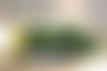 Wegański sos bolognese z cukinią