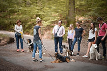 Hundetrainer Heidelberg Hundeschule Heidelberg Hundetraining Heidelberg Hundetrainer Mannheim Hundeschule Mannheim Hundetraining Mannheim Hundeschule Ladenburg Hundetraining Ladenburg Hundetrainer Ladenburg