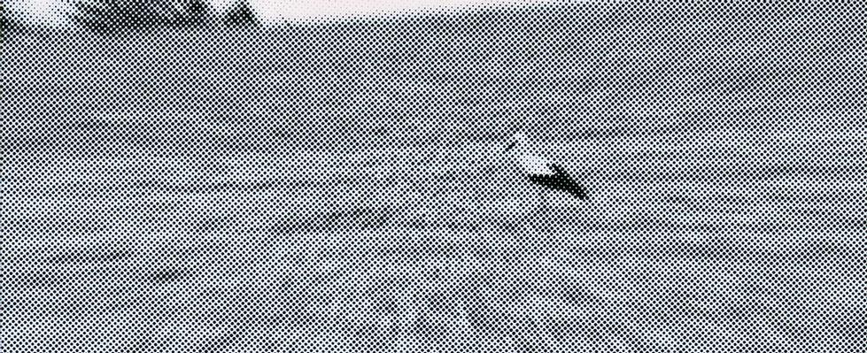 der Storch im Zwischenland-jpg