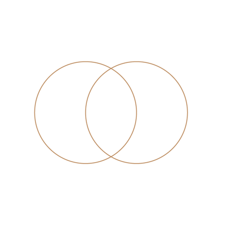 Vesica Pisces-01_edited_edited.png