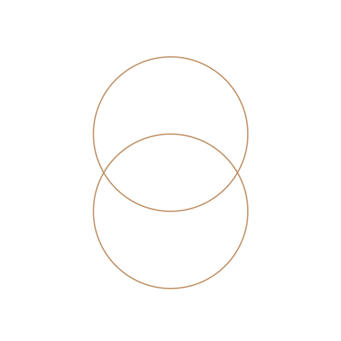 Vesica Pisces-01_edited.png
