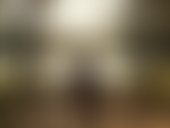 What Is Internal Family Systems (& Why It Matters for Energy Healing)