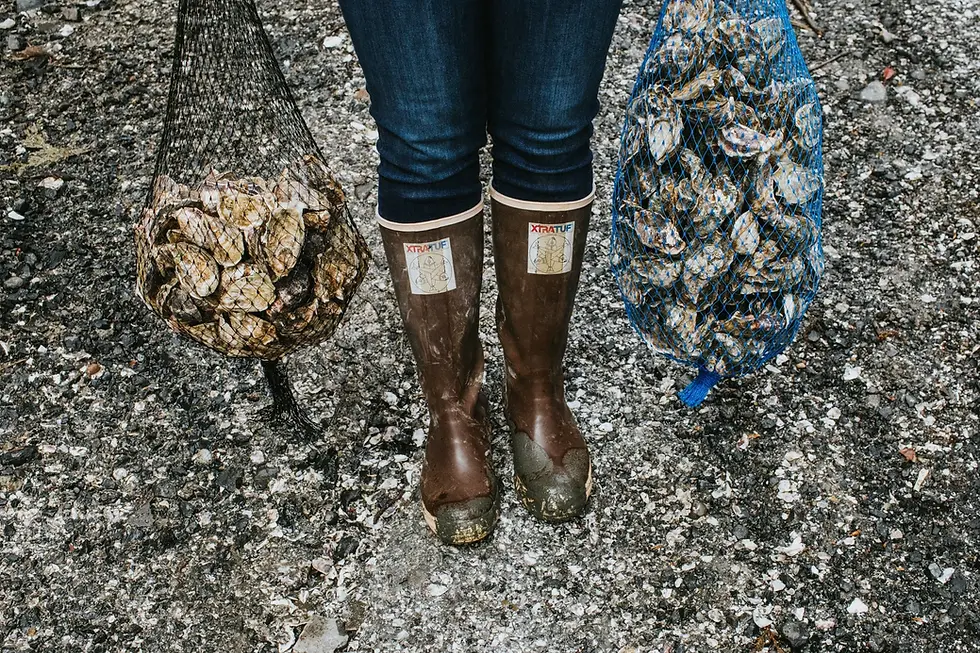 NWFA Shellfish & Bubbles: Oysters, Tide-to-Table Stories, and Why Puget Sound Farming Works