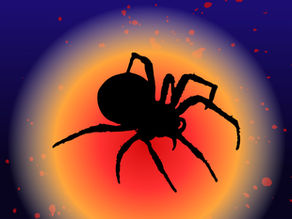 a black spider on an orange circle