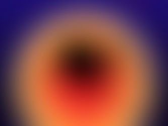 a black spider on an orange circle