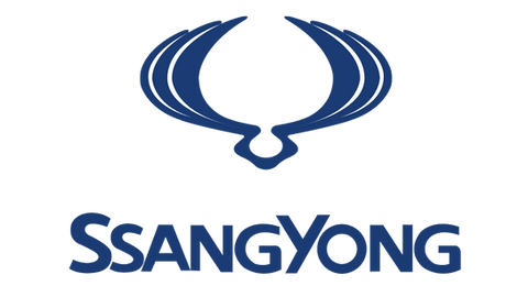 ssangyong vehicules neufs cayenne gtm distribution utilitaires