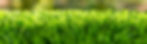 shutterstock_1030005796.jpg