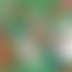 黄金に輝くメリークリスマス