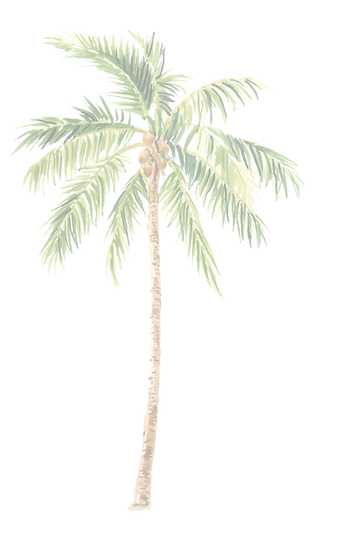 OTRAS PALMERAS-03_edited.png