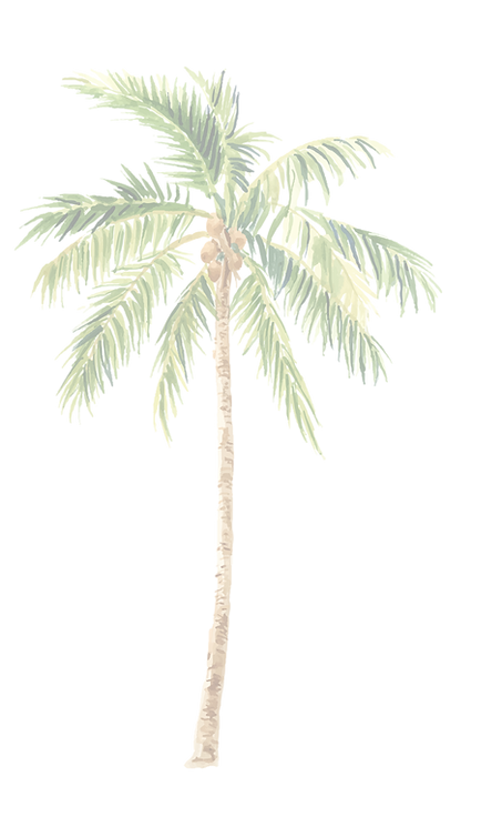 OTRAS PALMERAS-03_edited.png