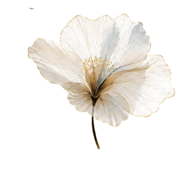 ti - 2026-07-15T133719.113.png