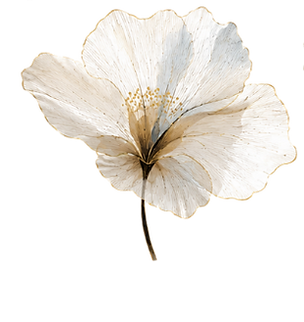 ti - 2026-07-15T133719.113.png