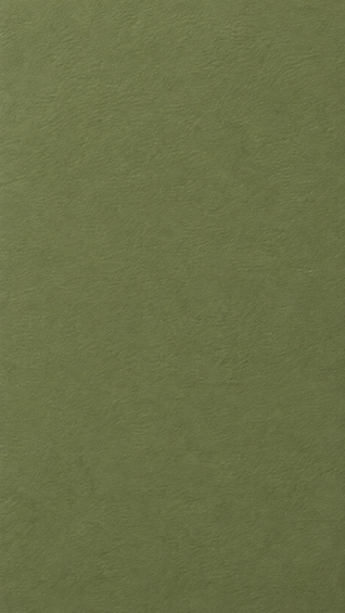 Textured Olive Green Paper Background.png