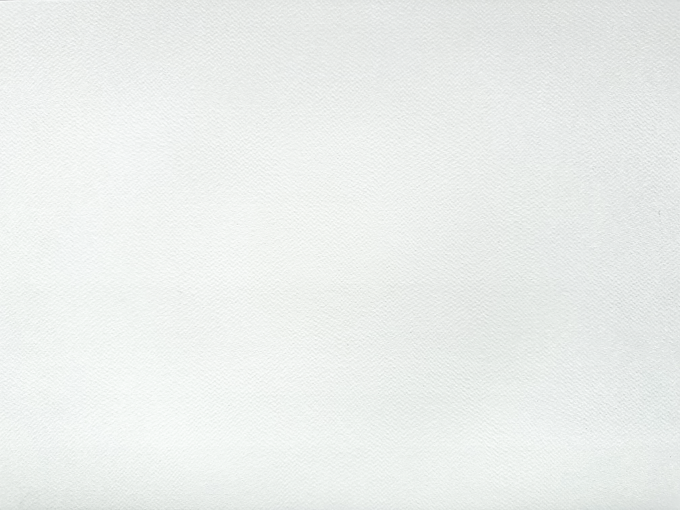FONDO LINO.png