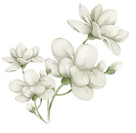 FLORES NUEVAS-07_edited.png