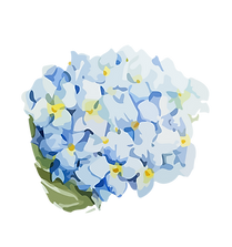 Hortensias-03 (1).png