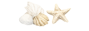 ChatGPT Image May 15, 2026, 01_19_32 PM.png