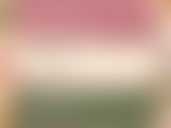 Colores de Quinceañera que Ya No Están en Tendencia en 2026 (y Qué Paletas Sí Funcionan)
