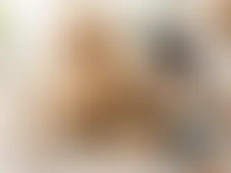 Filhotes: cuidados essenciais para um começo de vida saudável e feliz