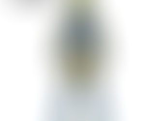 Masked FIghter Draco Redesign