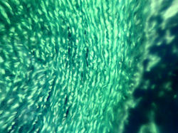 120920132088.jpg