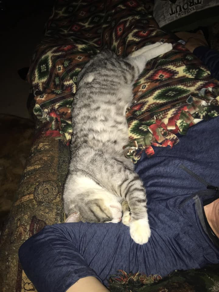Brutus