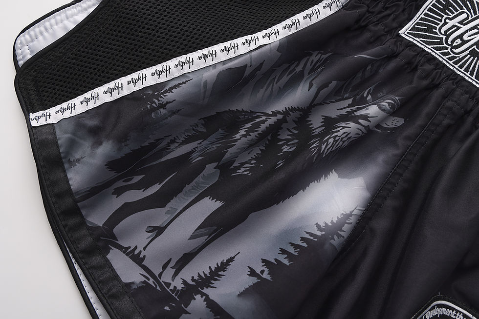 Thumbnail: PDMA HydraFight Shorts