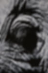 wmremove-transformed (14).jpeg