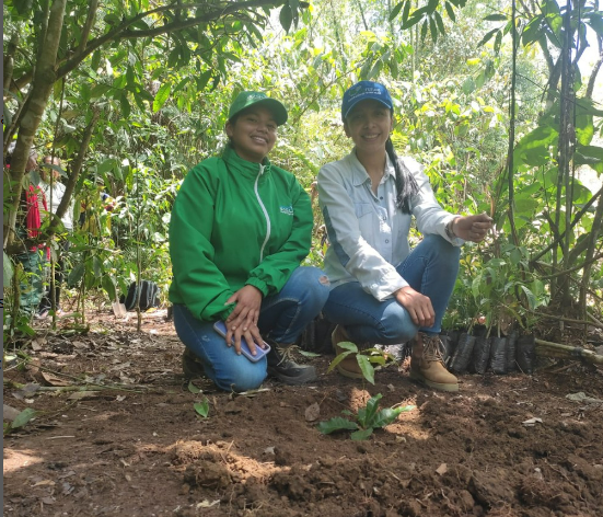 Siembra de arboles en el municipio de Cajibio, interventoria de la Fundación Siglo XXI
